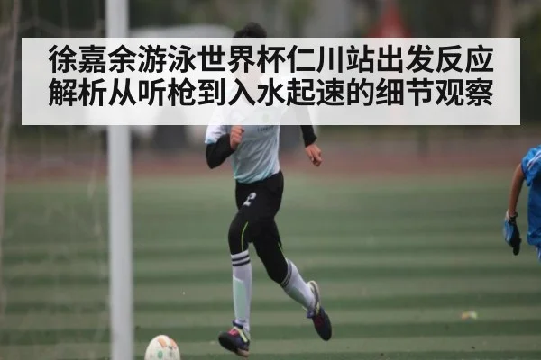 徐嘉余游泳世界杯仁川站出发反应解析从听枪到入水起速的细节观察 | kaiyun